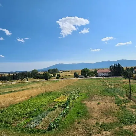 Dolic - Your Peaceful Spot With A Panoramic View Lejlighed *