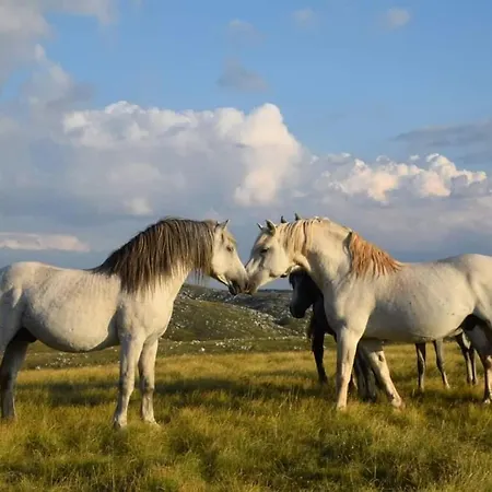 Dolic - Your Peaceful Spot With A Panoramic View * Livno