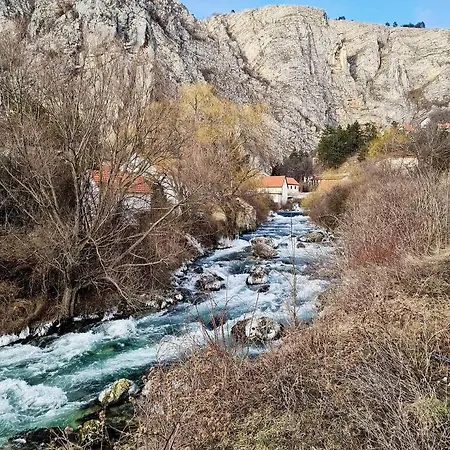 Dolic